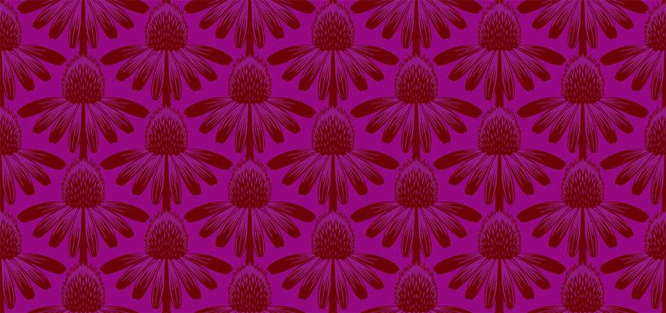 Indelible Quilt Fabric by Anna Maria Parry - Coneflower in Magenta - AMT1001-26L