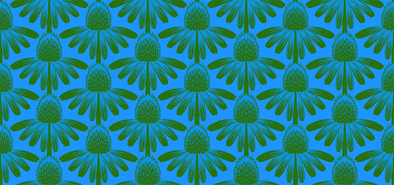 Indelible Quilt Fabric by Anna Maria Parry - Coneflower in Pool Blue - AMT1001-62C
