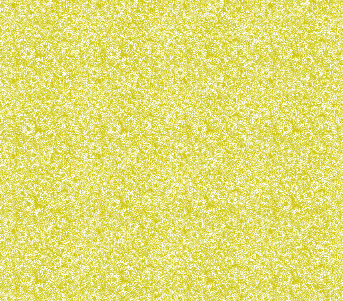 Indelible Quilt Fabric by Anna Maria Parry - Mums in Golden Yellow - AMT1002-52C