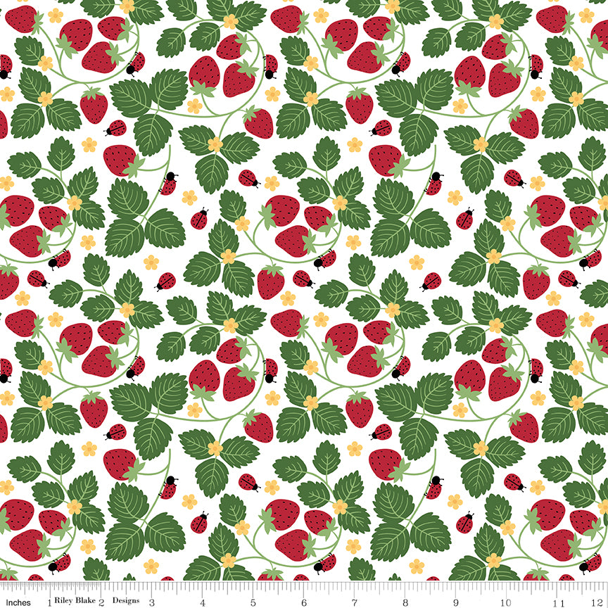 Little Ladybug Quilt Fabric - Strawberries in White - C18031-WHITE