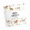 Lucky Quilt Fabric - Charm Pack - set of 42 5" squares - 55700PP