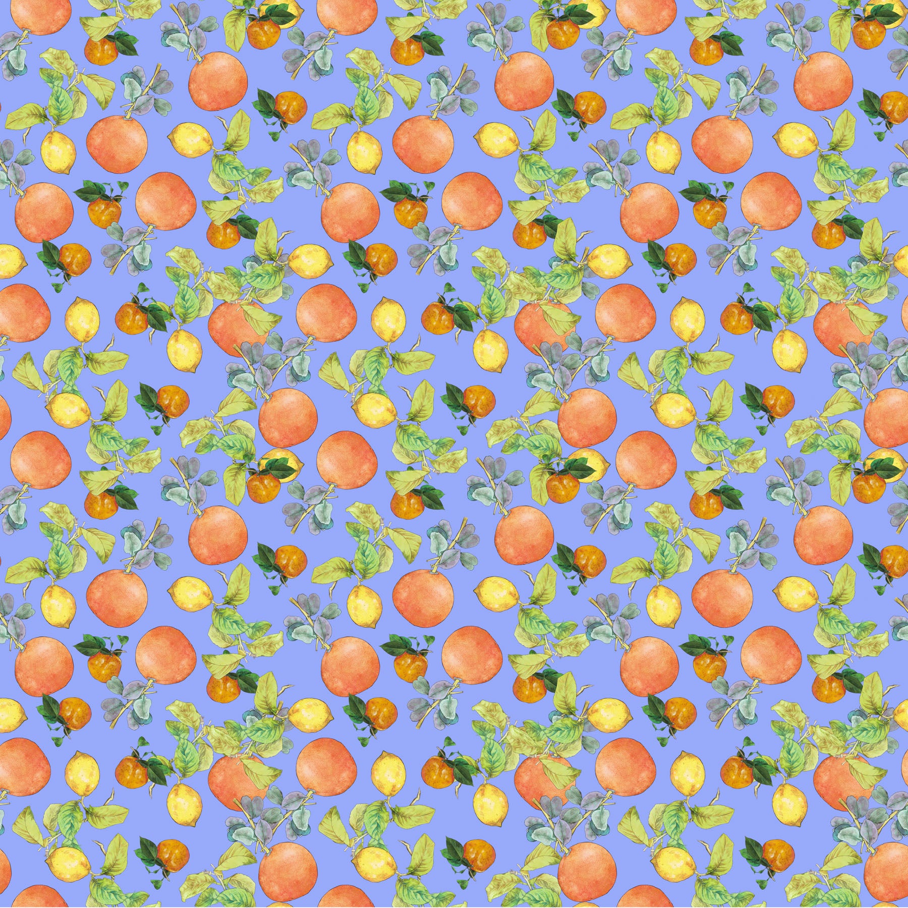 Margo Quilt Fabric - Citrus in Blue - 90800-40