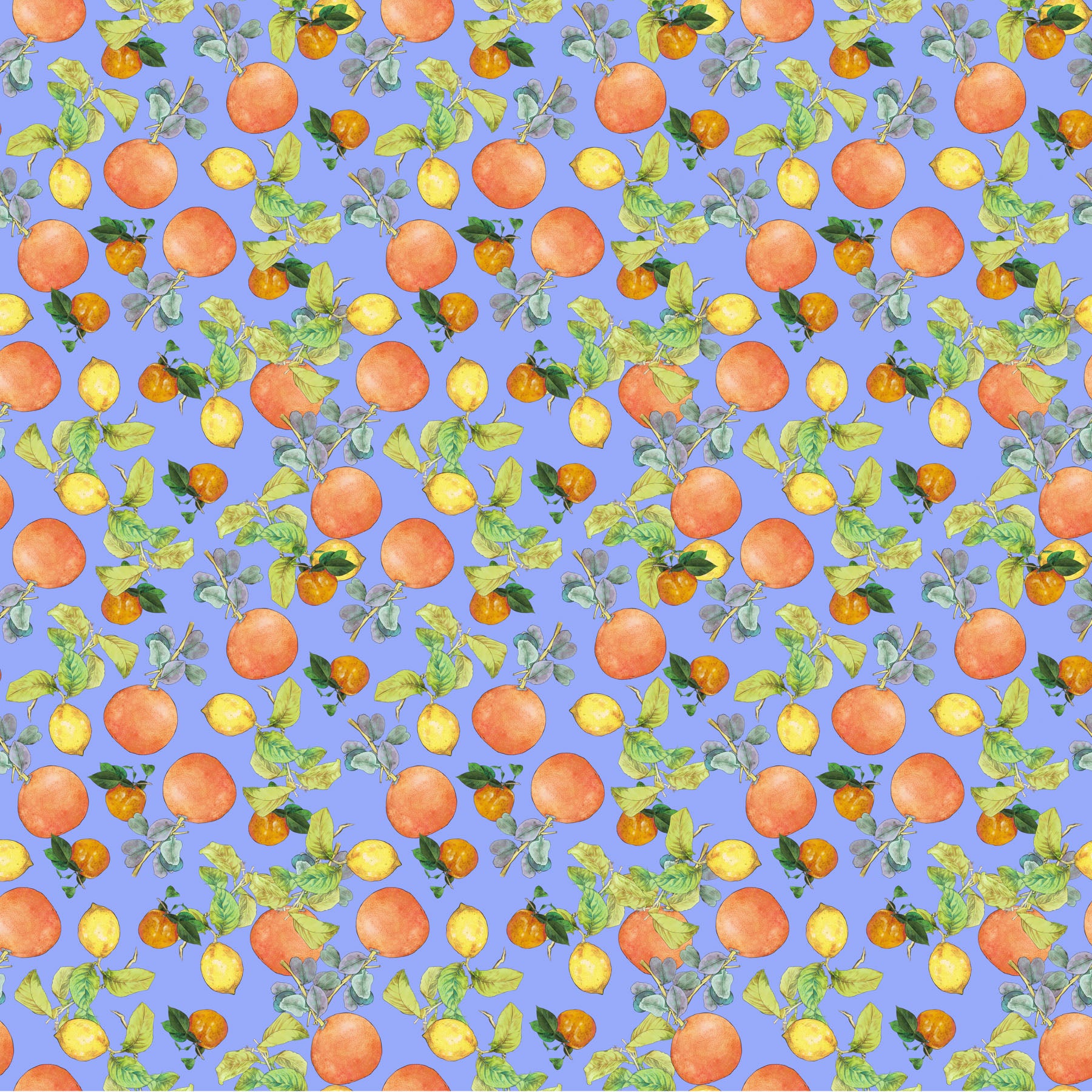 Margo Quilt Fabric - Citrus in Blue - 90800-40