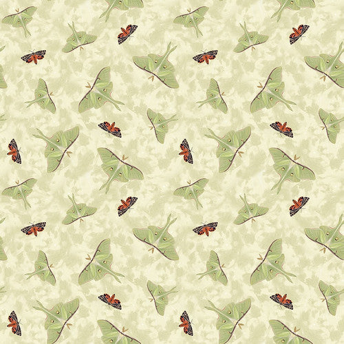 Midnight Rendezvous Quilt Fabric - Moths in Ivory - 2897-41