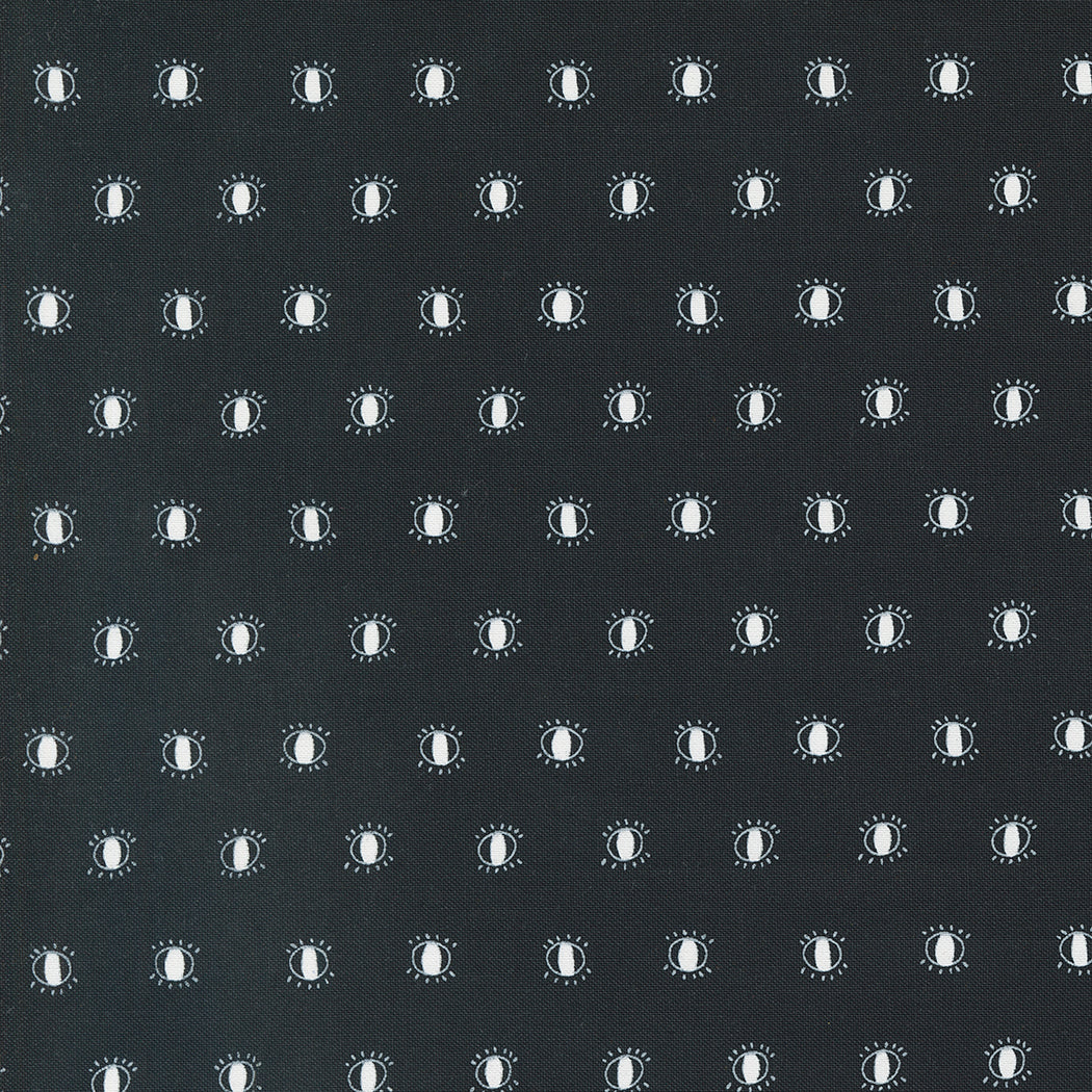 Noir Quilt Fabric - Watching Eyes in Midnight Black/Ghost White - 11546 13