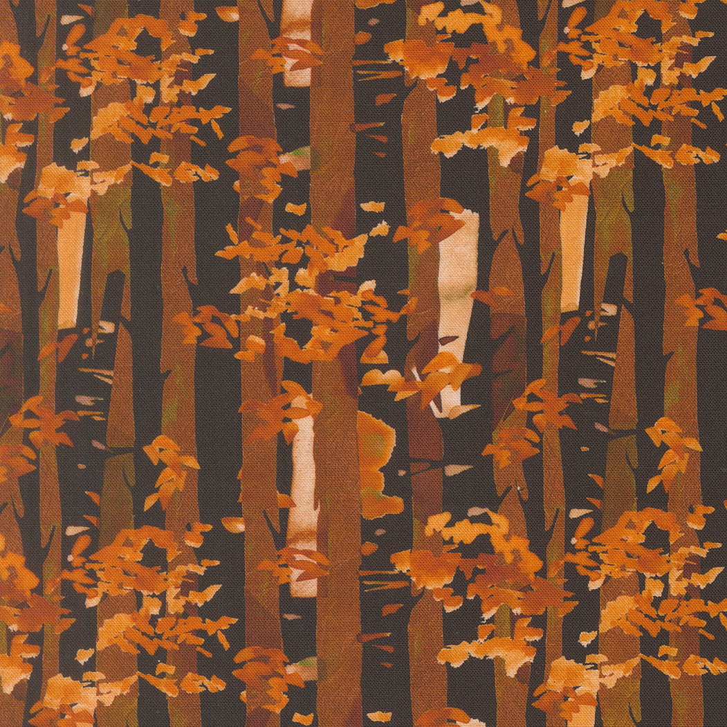 Northern Brights Quilt Fabric - Birch in Night Sky Black - 21857 13
