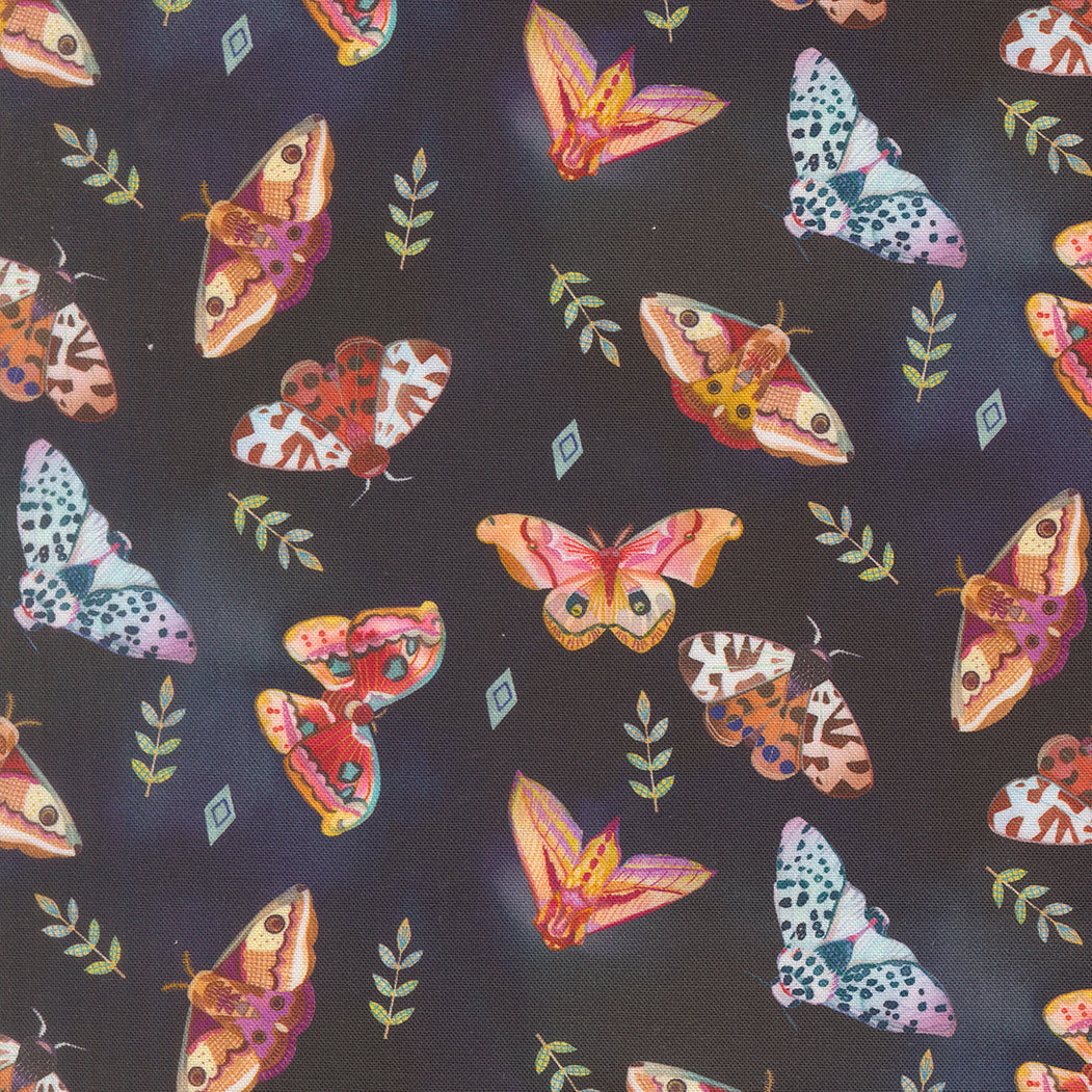 Northern Brights Quilt Fabric - Moth Array in Night Sky Black - 21854 13