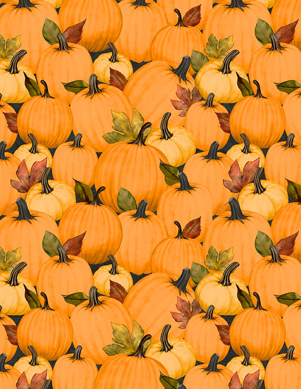 Oh My Gourd Quilt Fabric - Pumpkin Patch in Multi - 3017 27746 987