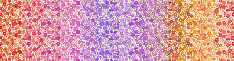 Omnificent Ombres Quilt Fabric - Berry Boho Blooms Ombre - OM3B