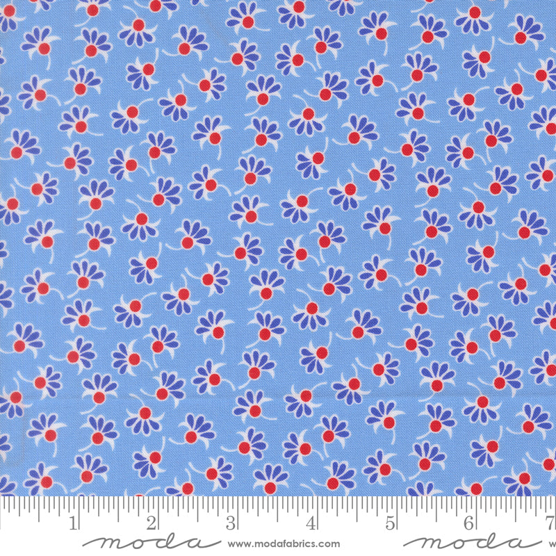 On the Porch Quilt Fabric - Wishes in Blue Sky - 22513 13