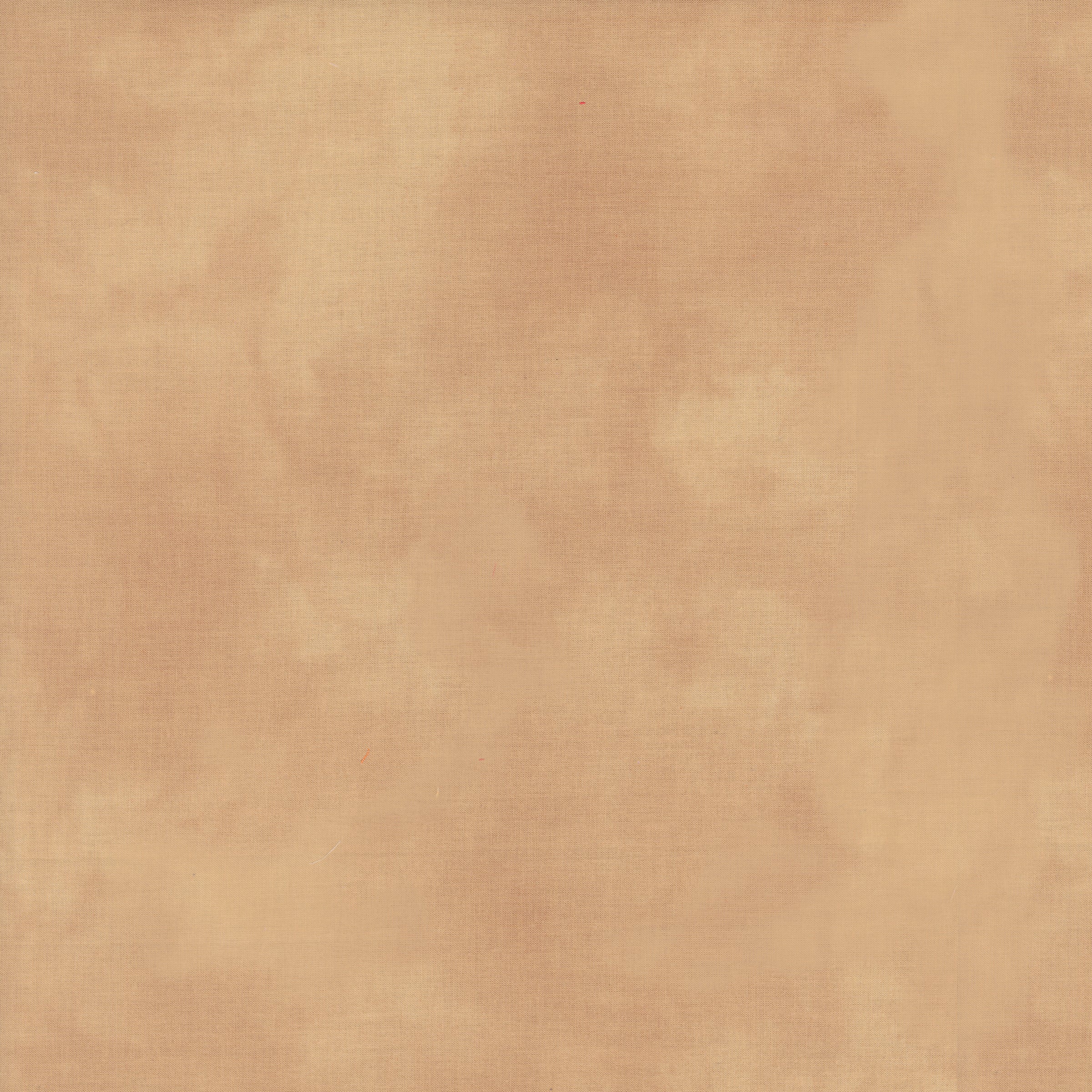 Palette Blender - Himalayan Salt Tan - 37098-119