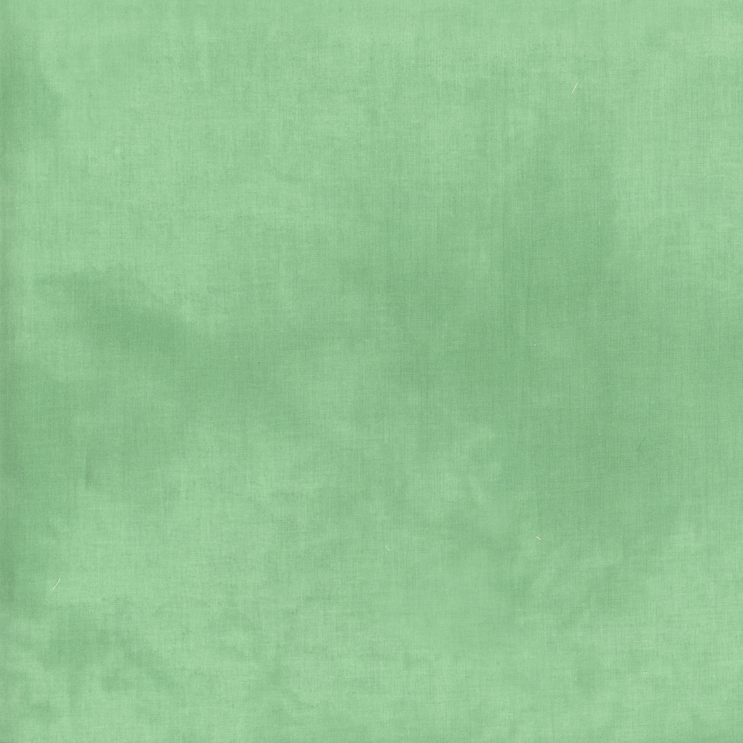 Palette Blender - Ice Cap Green - 37098-114