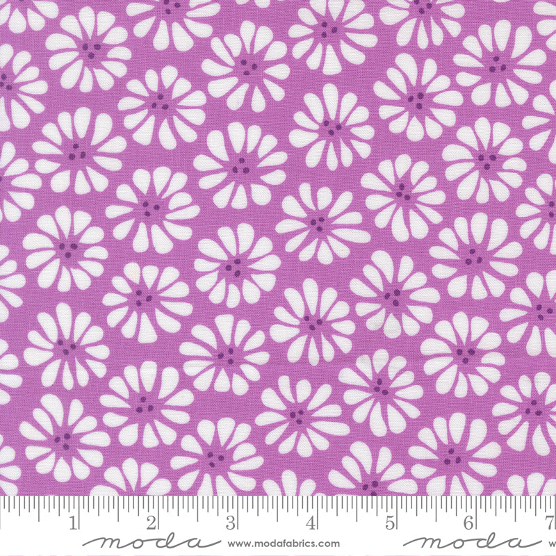 Pick Me Quilt Fabric - Lazy Daisy in Lilac Purple - 22491 19