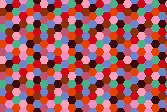 Piecework Quilt Fabric by Anna Maria Parry - Hexagons in Rustic - AMT111-36V
