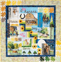 Playful Panel Quilts Pattern Book - 11591