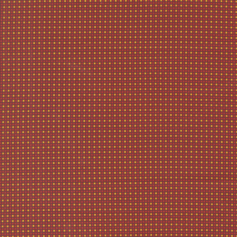 Sally's Stitches Quilt Fabric - Hopscotch Checks in Turkey Red - 31718 14