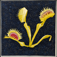 Digital Download: Venus Fly Trap Pattern