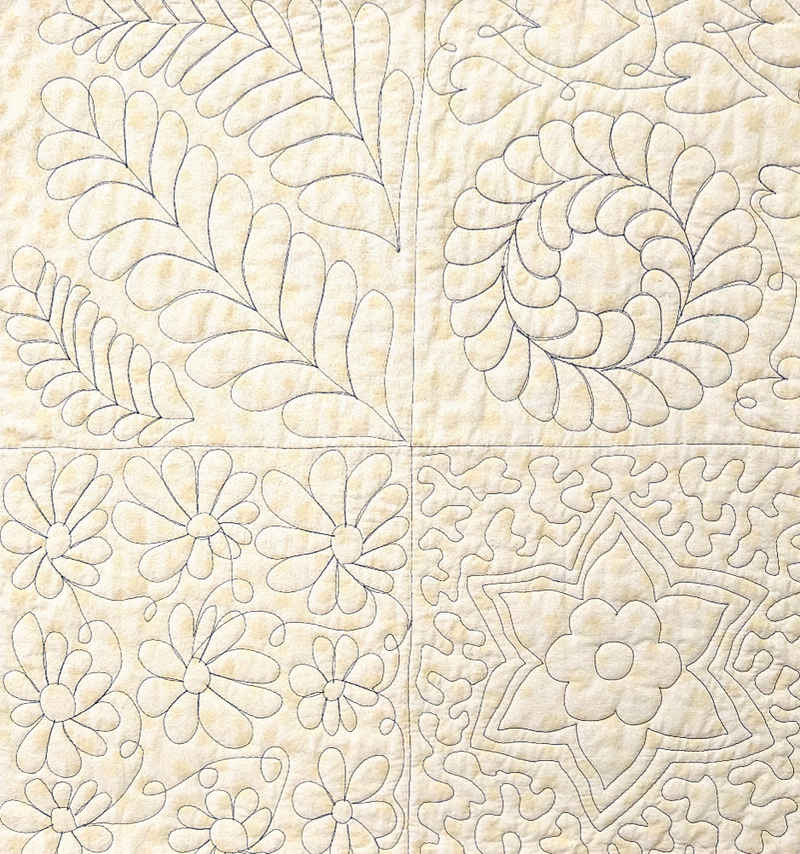 Free Motion Quilting Class with Kim Cary Quilting Company