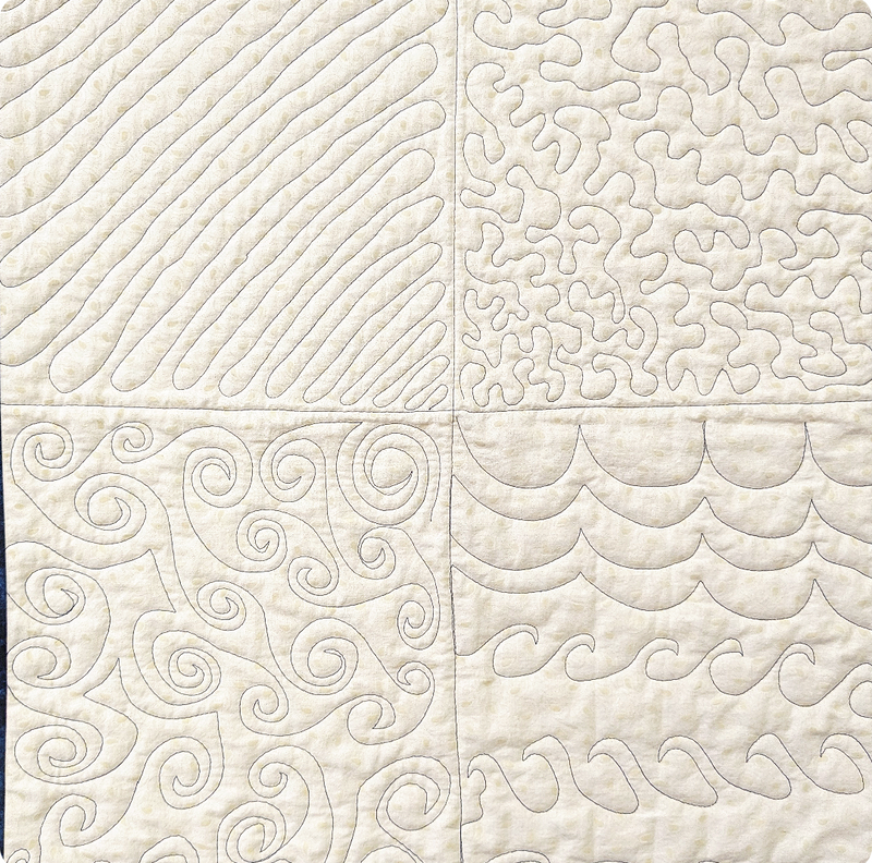 Free Motion Quilting Class with Kim Cary Quilting Company