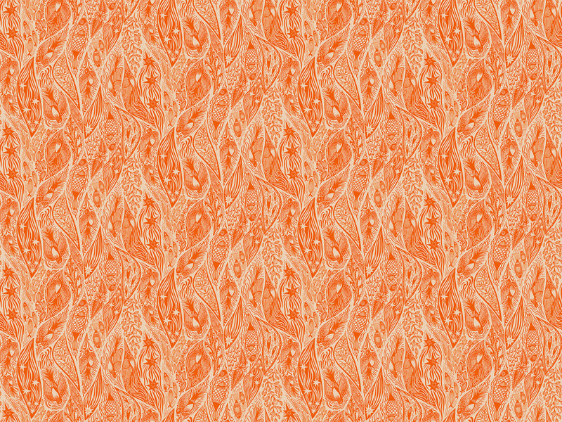 Shooting Star Quilt Fabric by Anna Maria Parry - Current in Tangerine Orange - AMT118-59V