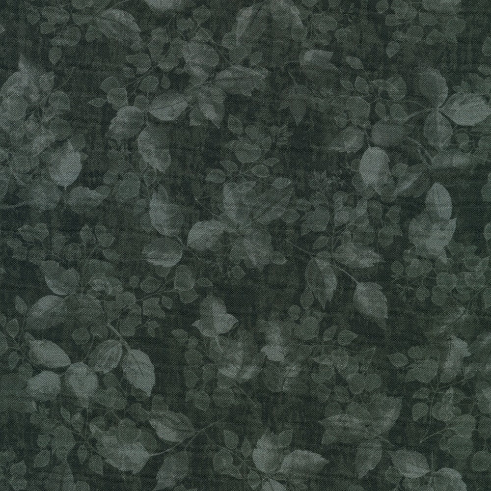 Sienna Quilt Fabric - Blender in Black - SRKD-21167-2 BLACK