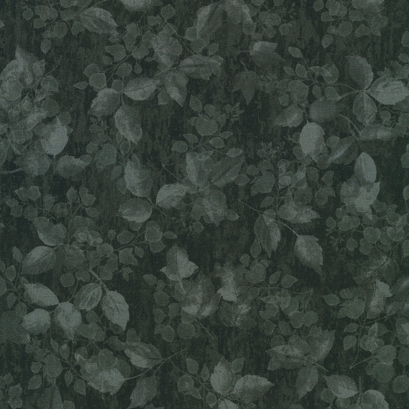 Sienna Quilt Fabric - Blender in Black - SRKD-21167-2 BLACK