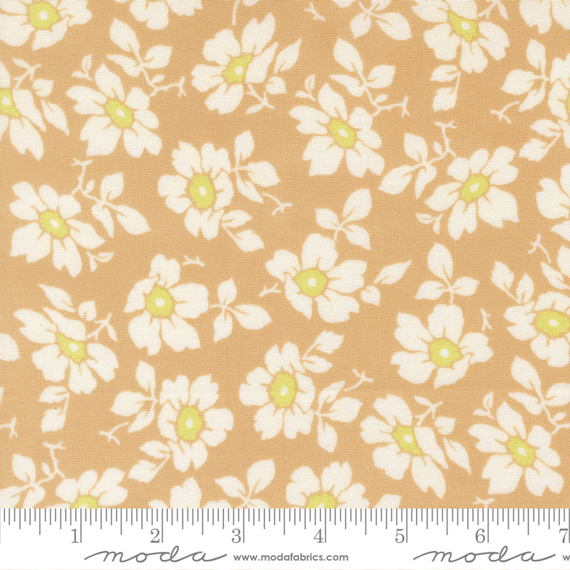 Summer's End Quilt Fabric - Cosmos in Almond Pie Tan - 35431 15