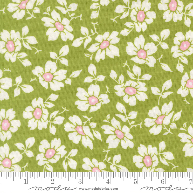 Summer's End Quilt Fabric - Cosmos in Clover Green - 35431 19