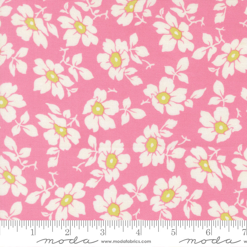 Summer's End Quilt Fabric - Cosmos in Lilac Pink - 35431 12