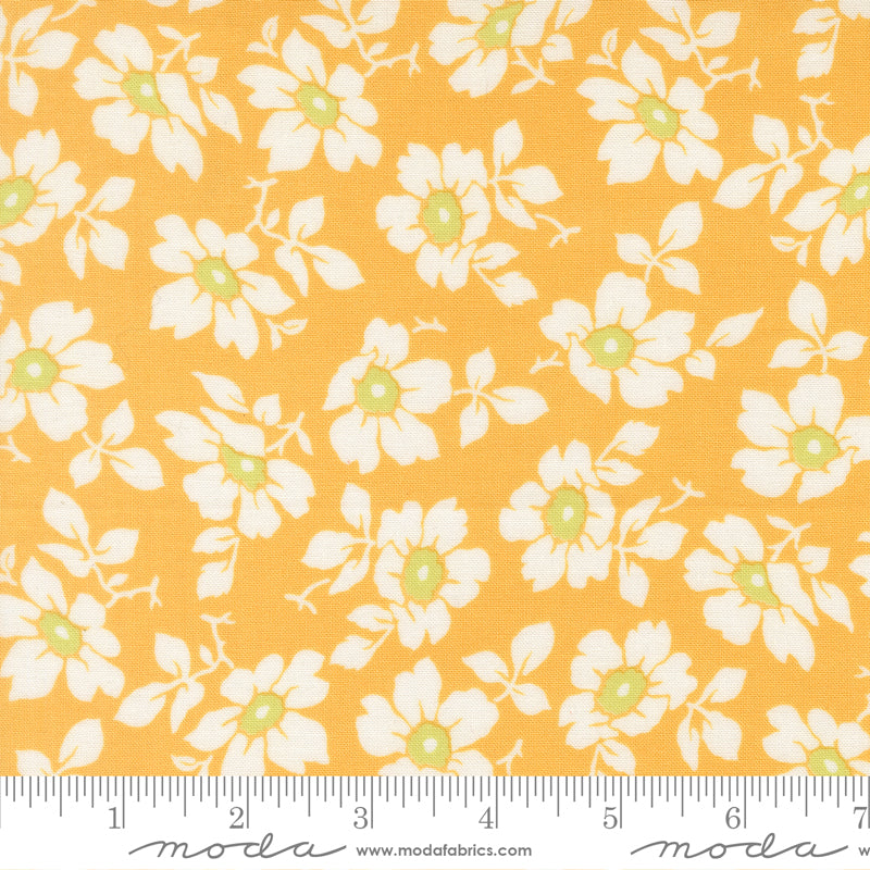 Summer's End Quilt Fabric - Cosmos in Sunflower Yellow - 35431 13