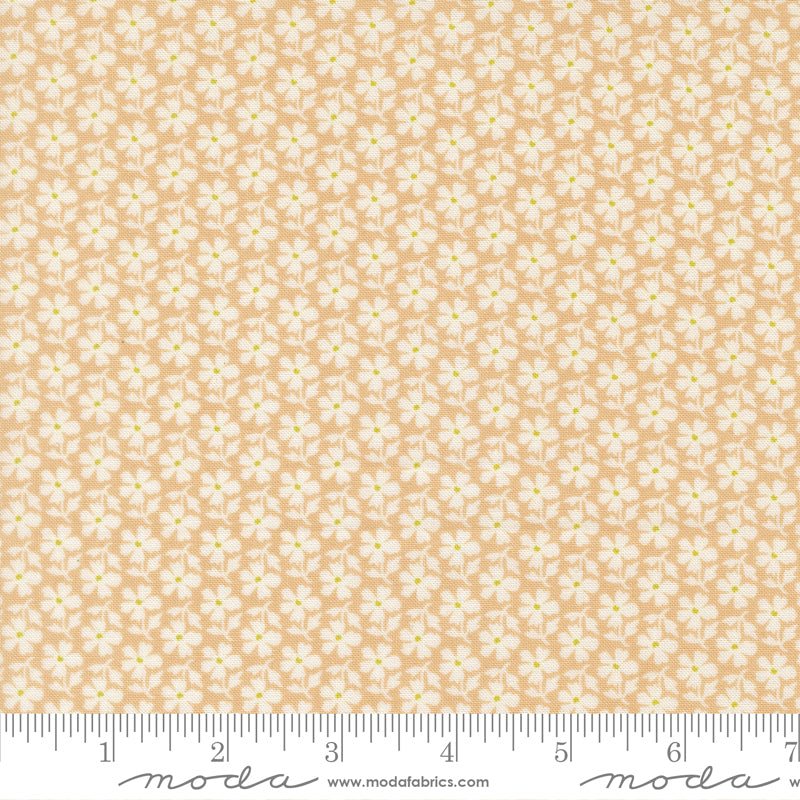 Summer's End Quilt Fabric - Daisies in Almond Pie Tan - 35434 15