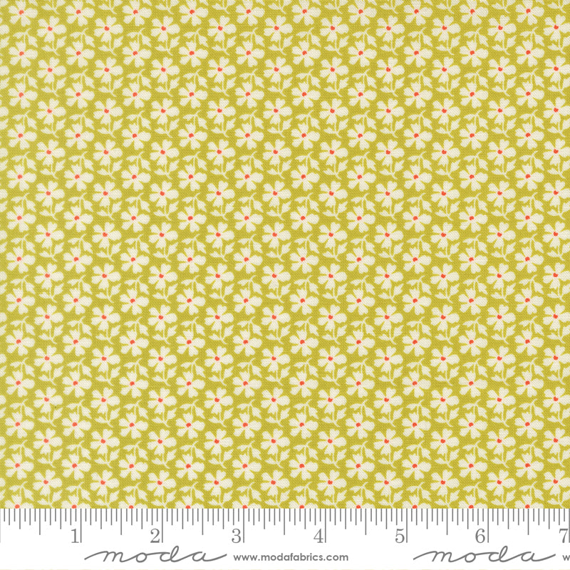 Summer's End Quilt Fabric - Daisies in Grass Green - 35434 18