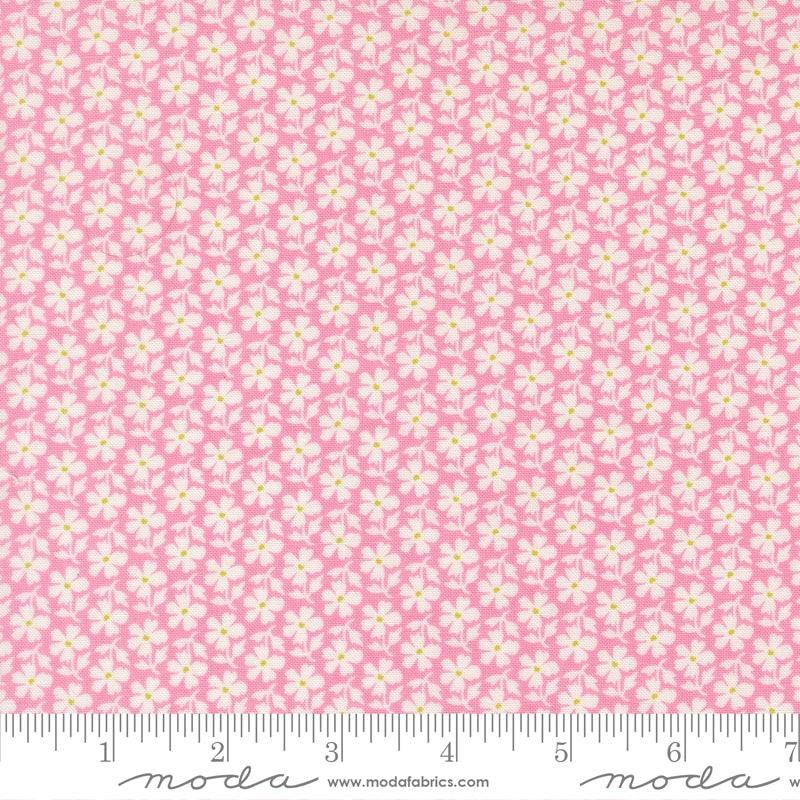 Summer's End Quilt Fabric - Daisies in Lilac Pink - 35434 12