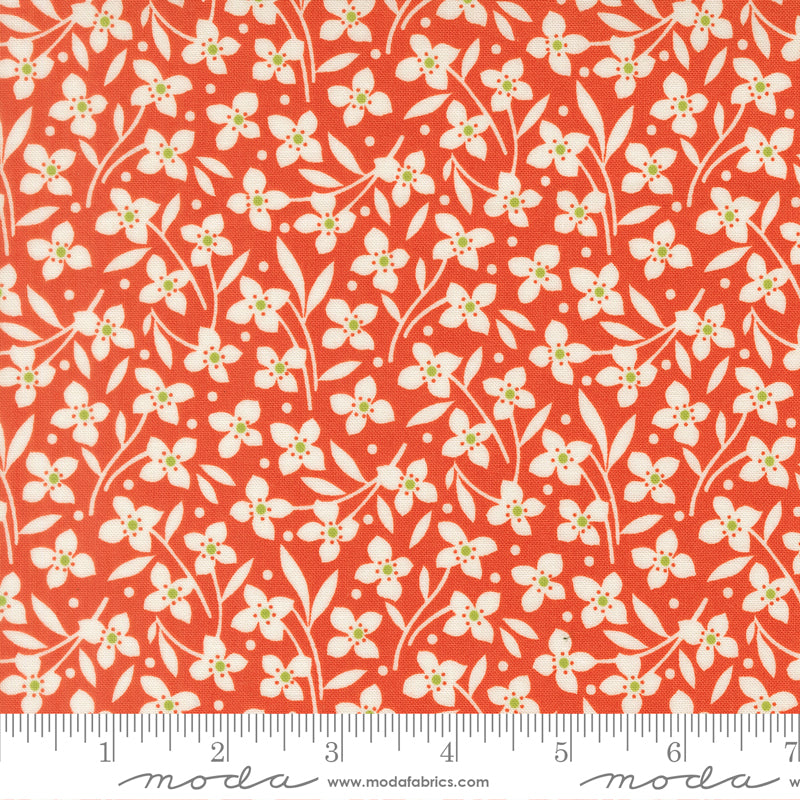 Summer's End Quilt Fabric - Forget Me Not in Persimmon Red - 35435 16