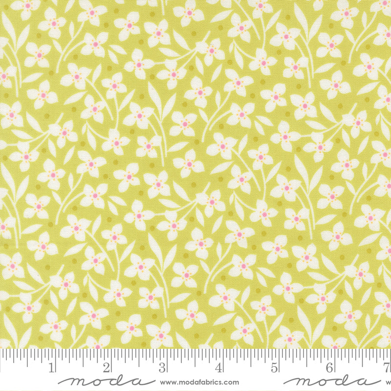 Summer's End Quilt Fabric - Forget Me Not in Sprout Green - 35435 17