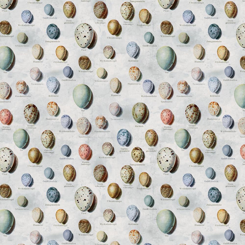 Tim Holtz Eclectic Elements Palette Quilt Fabric - Blue Eggs - PWTH285.BLUE