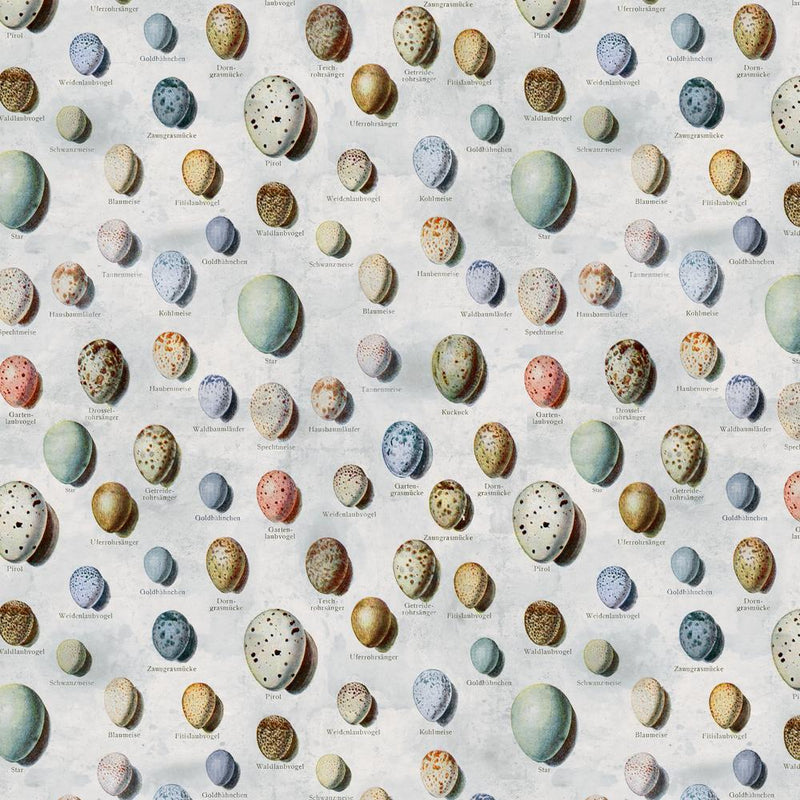 Tim Holtz Eclectic Elements Palette Quilt Fabric - Blue Eggs - PWTH285.BLUE