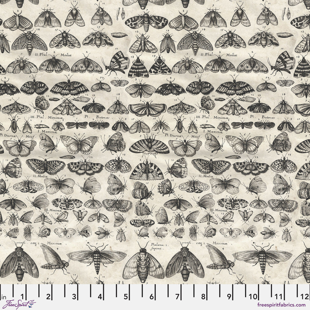 Tim Holtz Eclectic Elements Palette Quilt Fabric - Charcoal Moths - PWTH315.CHARCOAL
