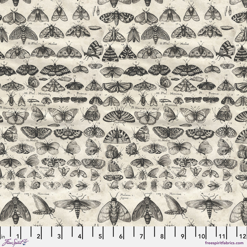 Tim Holtz Eclectic Elements Palette Quilt Fabric - Charcoal Moths - PWTH315.CHARCOAL