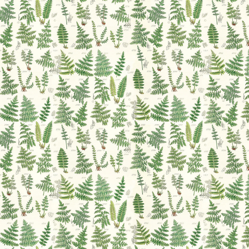 Tim Holtz Eclectic Elements Palette Quilt Fabric - Green Ferns - PWTH265.GREEN