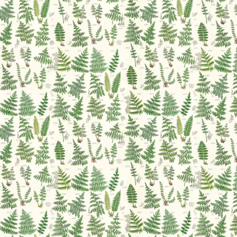 Tim Holtz Eclectic Elements Palette Quilt Fabric - Green Ferns - PWTH265.GREEN