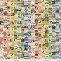 Tim Holtz Eclectic Elements Palette Quilt Fabric - Multi Collage - PWTH320.MULTI