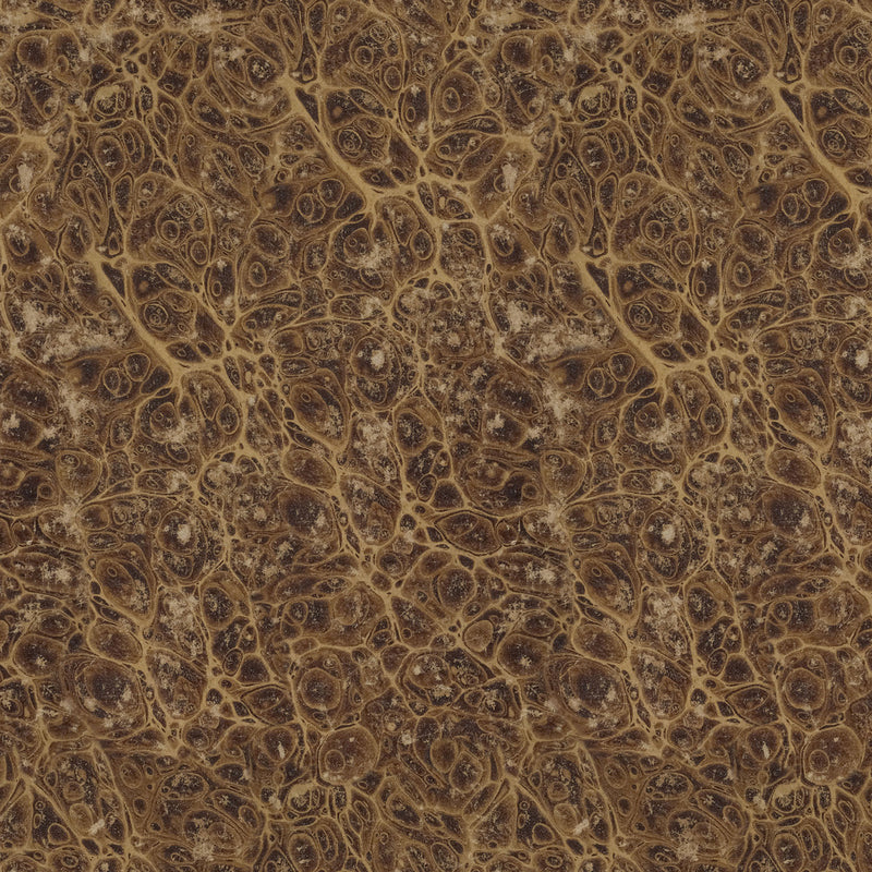 Tim Holtz Eclectic Elements Palette Quilt Fabric - Neutral Marble (Brown) - PWTH259.NEUTRAL