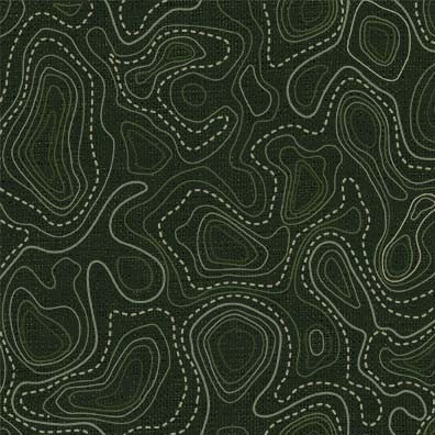 Trailhead Adventure Quilt Fabric - Topography Map in Forest Green - DCX12388-FORE-D