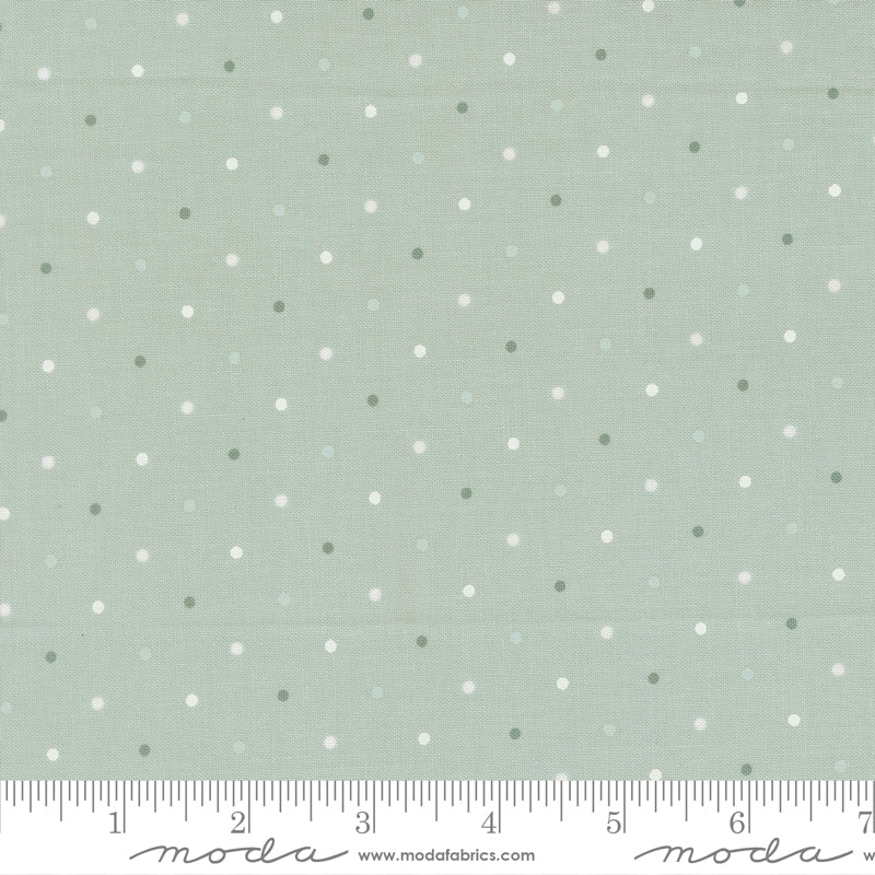 True Love Quilt Fabric - Magic Dot in Robin's Egg Aqua - 5230 64