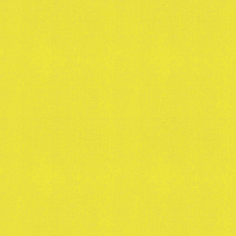 Warp and Weft Hue Crossweaves Quilt Fabric by Ruby Star Society - Citron Green - RS4108 21