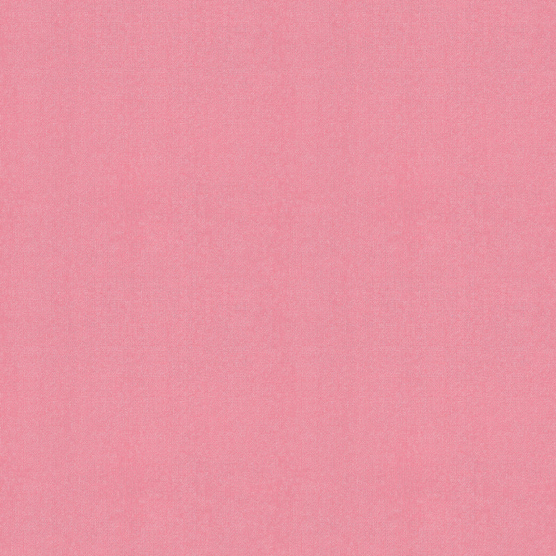 Warp and Weft Hue Crossweaves Quilt Fabric by Ruby Star Society - Flora Pink - RS4108 27