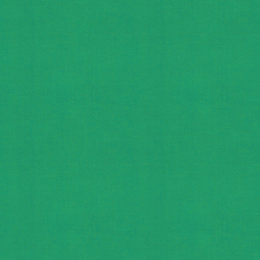 Warp and Weft Hue Crossweaves Quilt Fabric by Ruby Star Society - Grass Green - RS4108 20