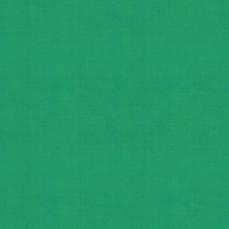 Warp and Weft Hue Crossweaves Quilt Fabric by Ruby Star Society - Grass Green - RS4108 20