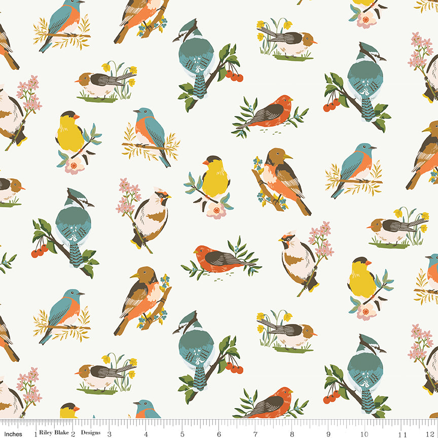 Winged Medley Quilt Fabric - Birds in Cloud White/Multi - C15911-CLOUD